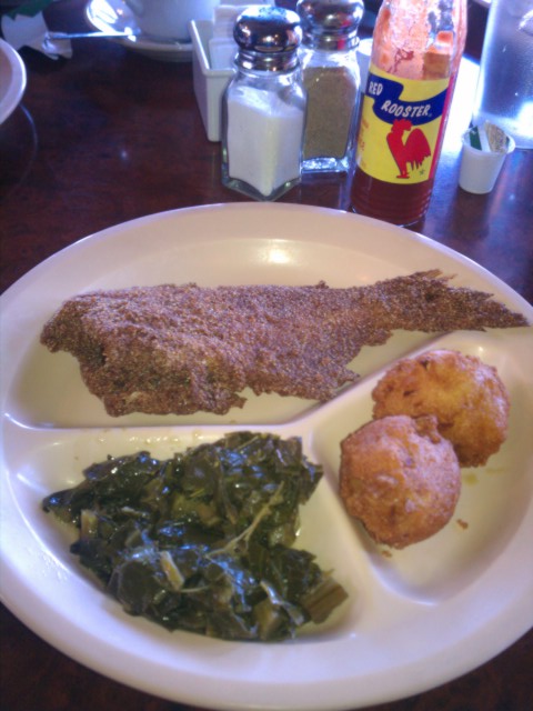 fried catfish plate picture