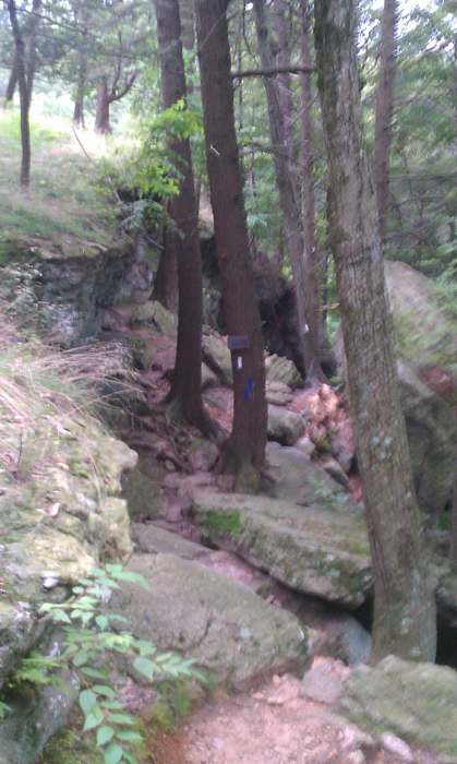 appalachian trail bear harriman parks 48
