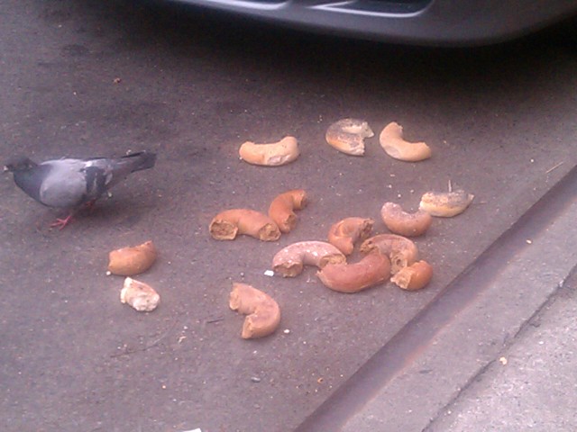 pigeon bagels 3