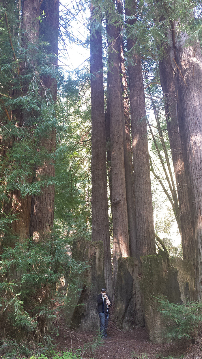 unpreventable redwoods photo, but at least i am holding an animal