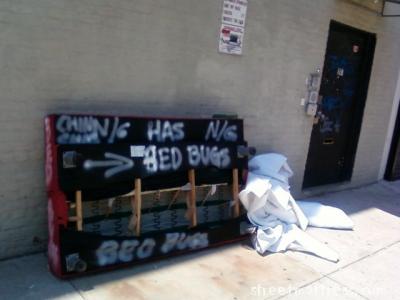 street mattress submission with bedbugs from greenpoint